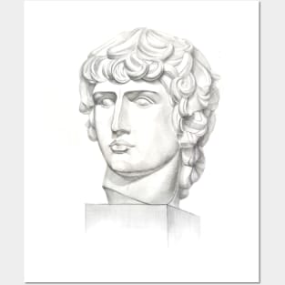 Antinous head Posters and Art